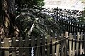 Tosa Jinja